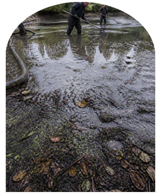 Очистка пруда в Крымске от ила мусора и водорослей с вывозом